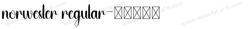 norwester regular字体转换